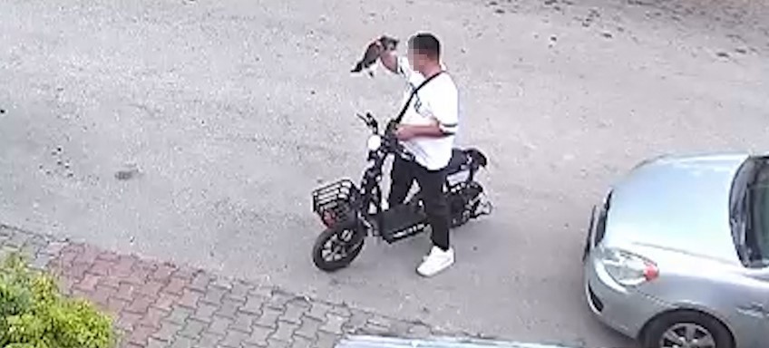 Yavru kediyi önce öpüp sonra boğmuştu, gözaltına alındı