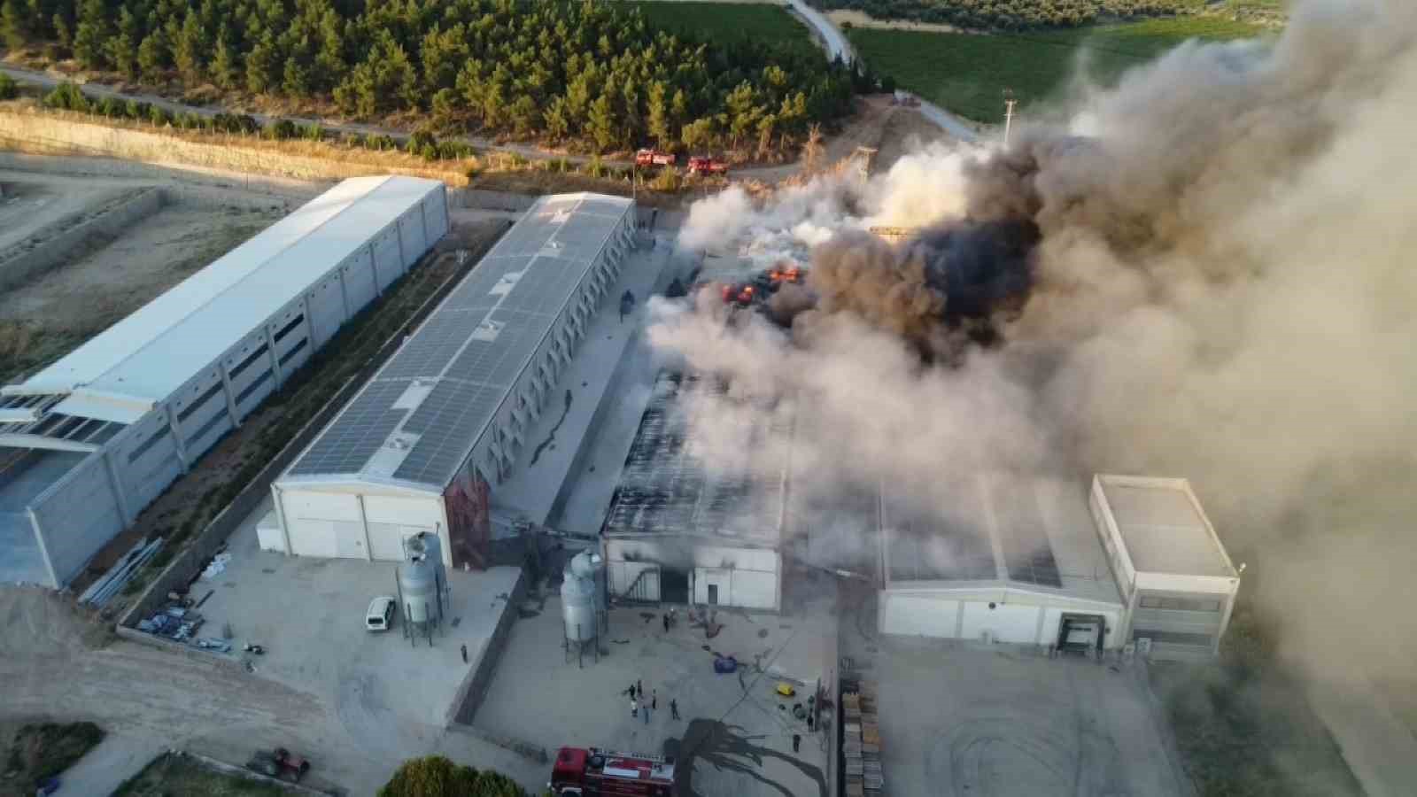 Alevler yumurta üretim tesisini küle çevirdi