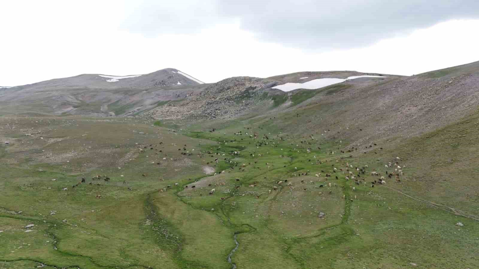 Doğa tutkunlarının yeni gözdesi: Erzurum’un saklı güzelliği ‘Mescit Dağı’ keşfedilmeyi bekliyor