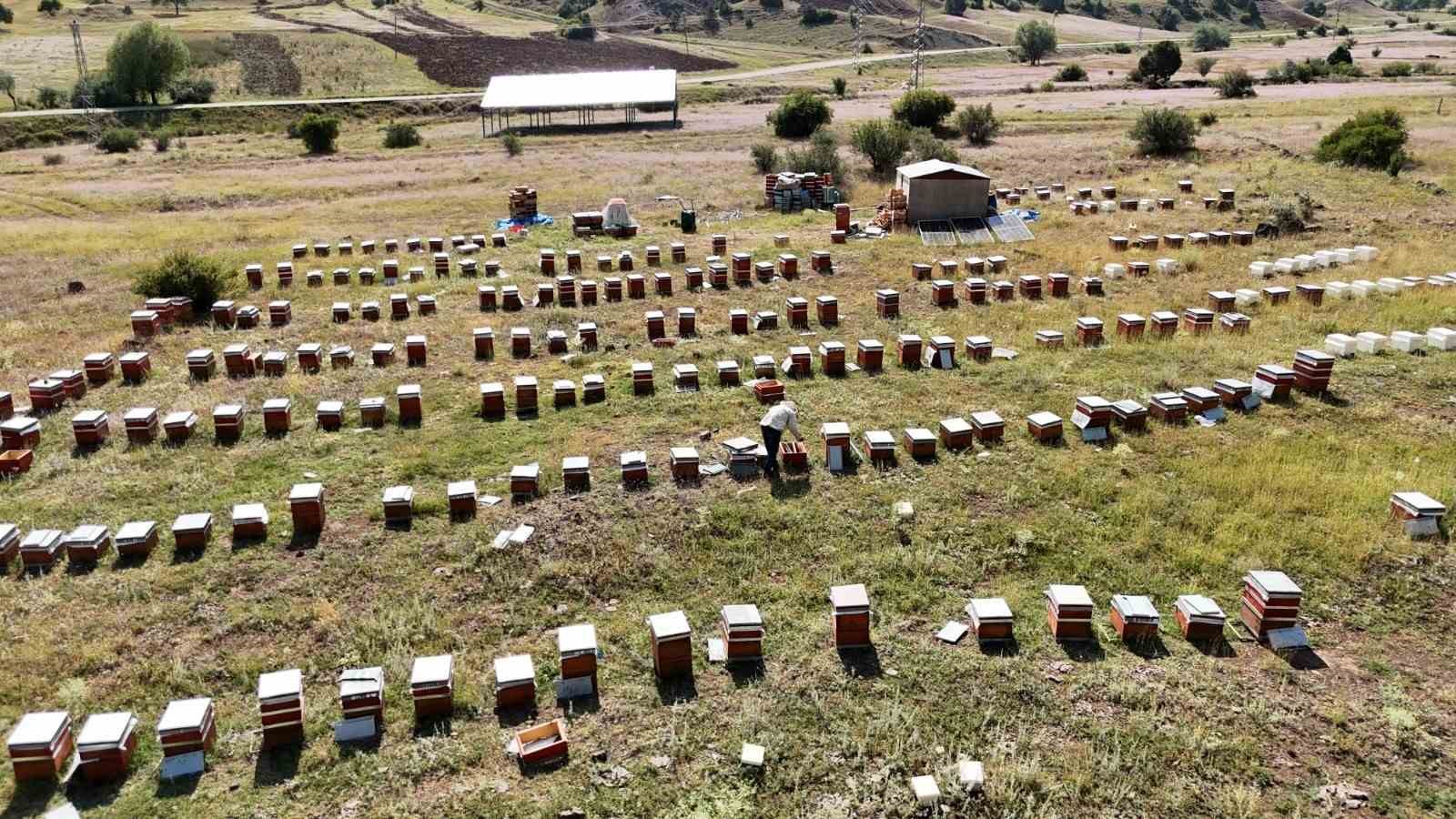Oltu’da sezonun ilk bal hasadı yapıldı