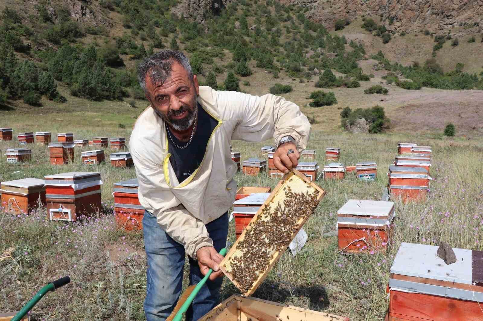Oltu’da sezonun ilk bal hasadı yapıldı