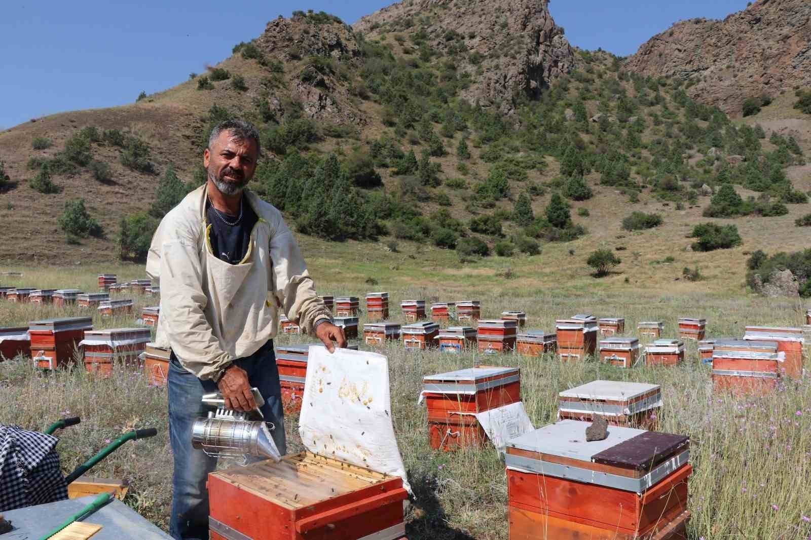 Oltu’da sezonun ilk bal hasadı yapıldı