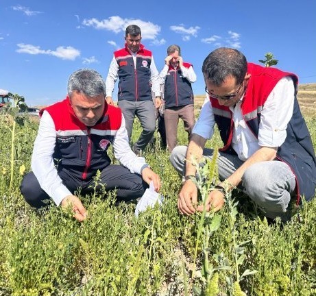 Erzurum’da tarımsal destekler meyvesini veriyor