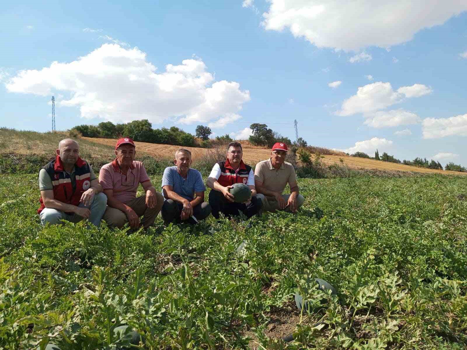 Tekirdağ karpuzu tezgâhlara çıkıyor