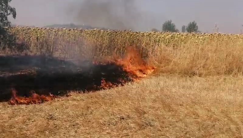 Kırklareli’nde yerleşim alanlarına sıçrayan anız yangınında bir bağ evi yandı