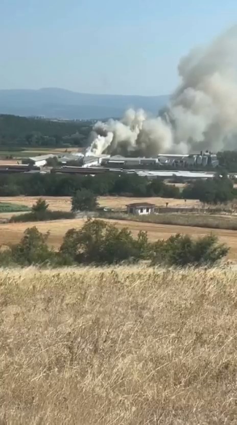 Bursa’da tavuk çiftliğinde yangın