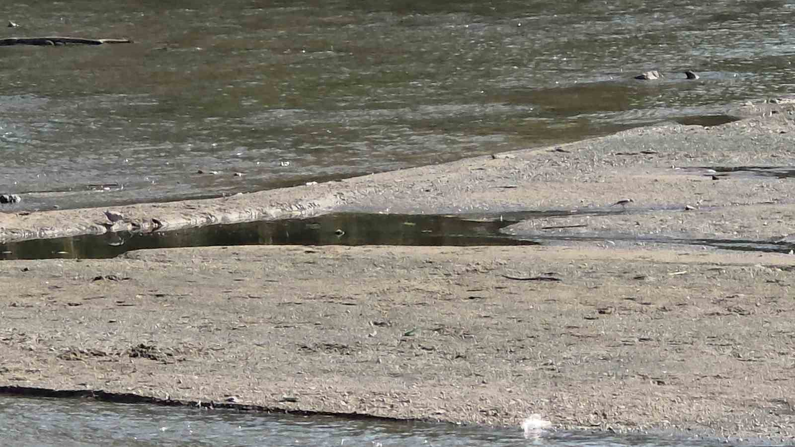Tunca Nehri’nde su çekildi, kum adacıkları oluştu