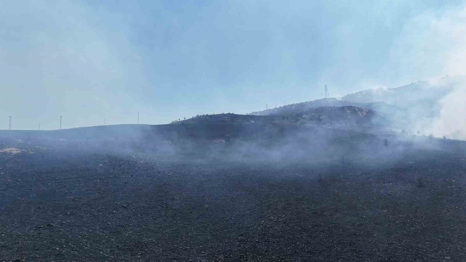 Tunceli’deki orman yangını söndürüldü