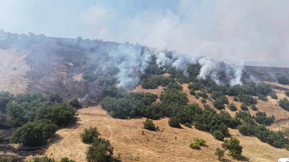 Tunceli’deki orman yangını söndürüldü