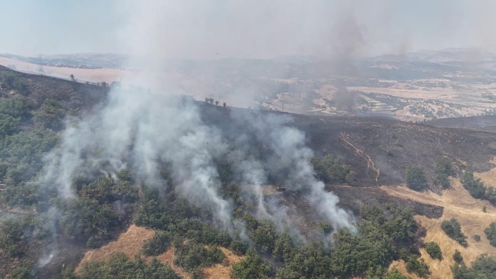 Tunceli’deki orman yangını söndürüldü