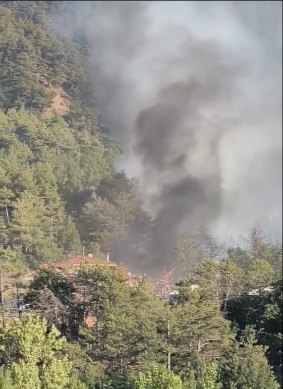 Bolu’da ormanlık alanda çıkan yangın kontrol altına alındı