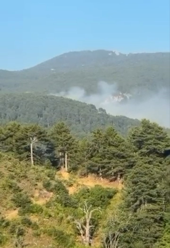 Uludağ’da çıkan orman yangını söndürüldü