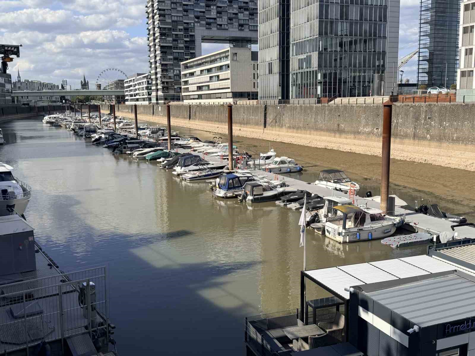 Almanya’da Ren Nehri’nde kuraklık alarmı: Su seviyesinde tarihi düşüş yaşandı