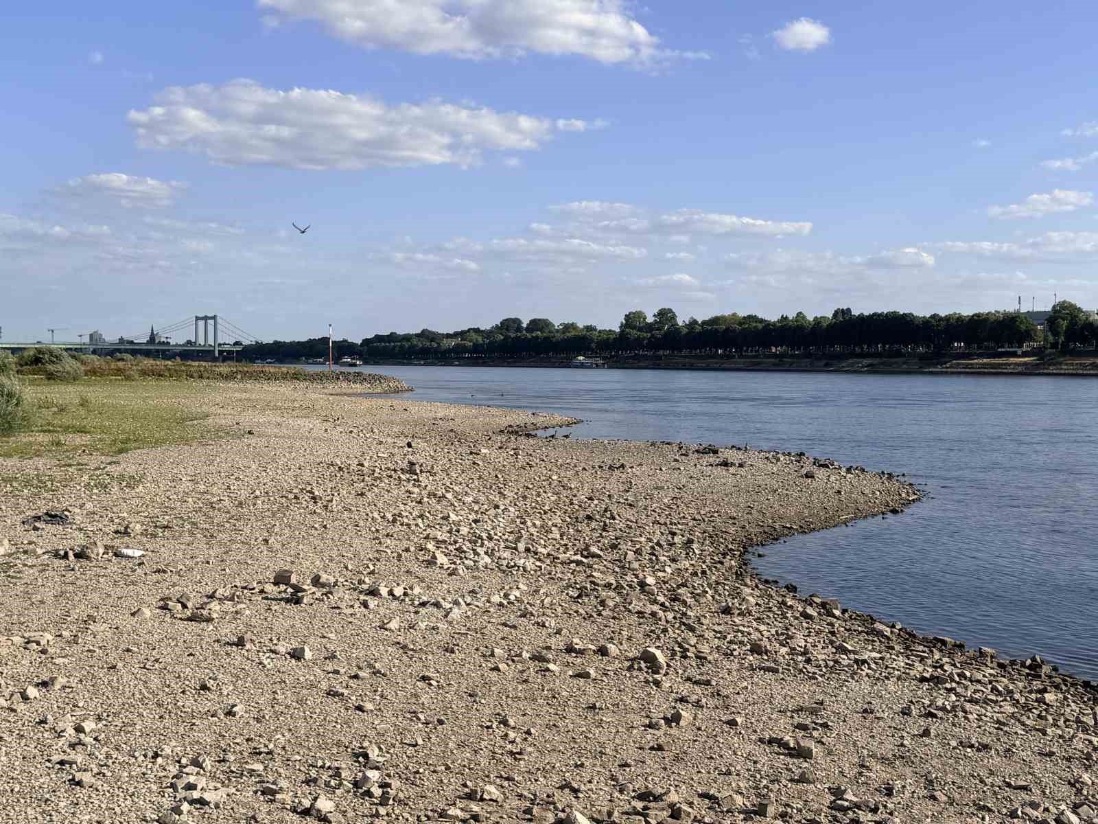 Almanya’da Ren Nehri’nde kuraklık alarmı: Su seviyesinde tarihi düşüş yaşandı