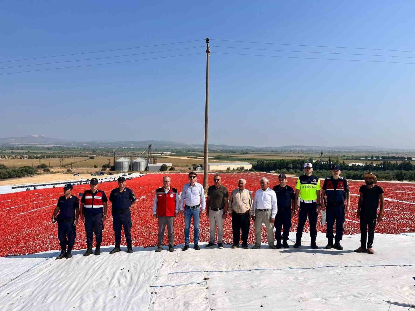 Saruhanlı’da 1.500 ton kuru domates ihraç ediliyor