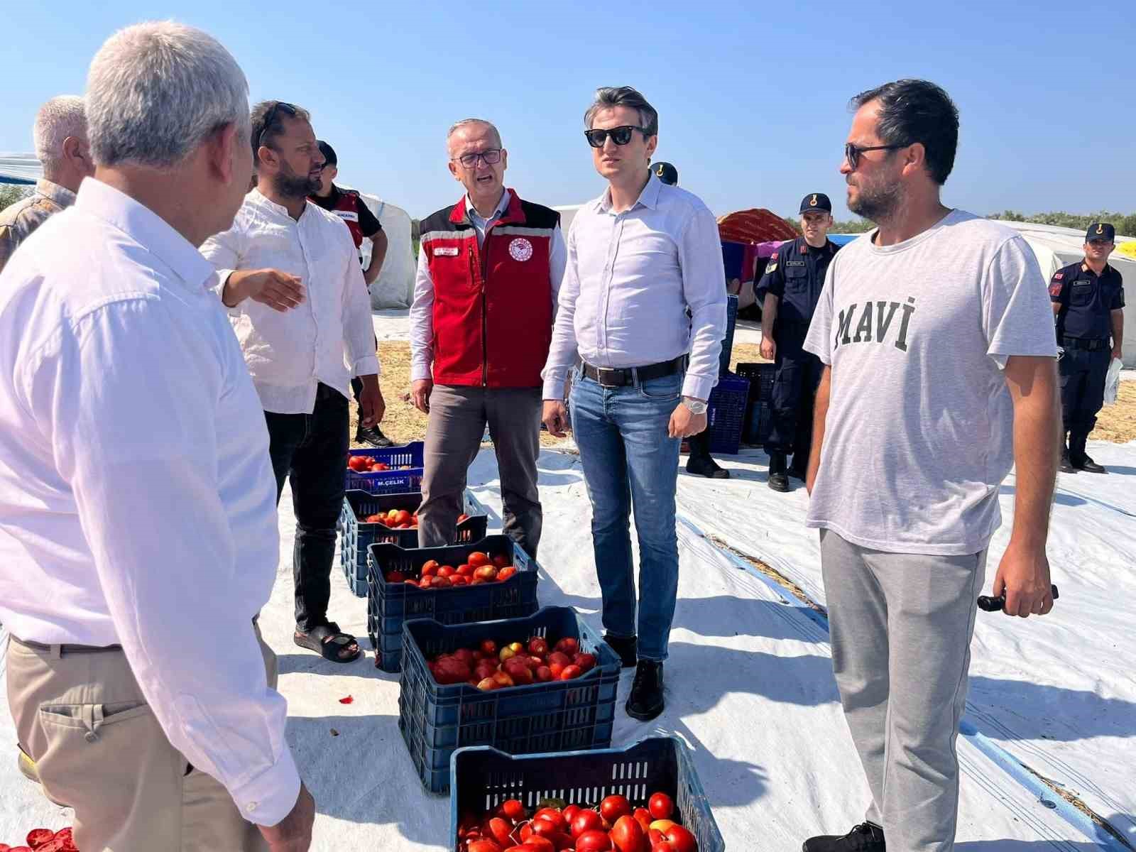 Saruhanlı’da 1.500 ton kuru domates ihraç ediliyor