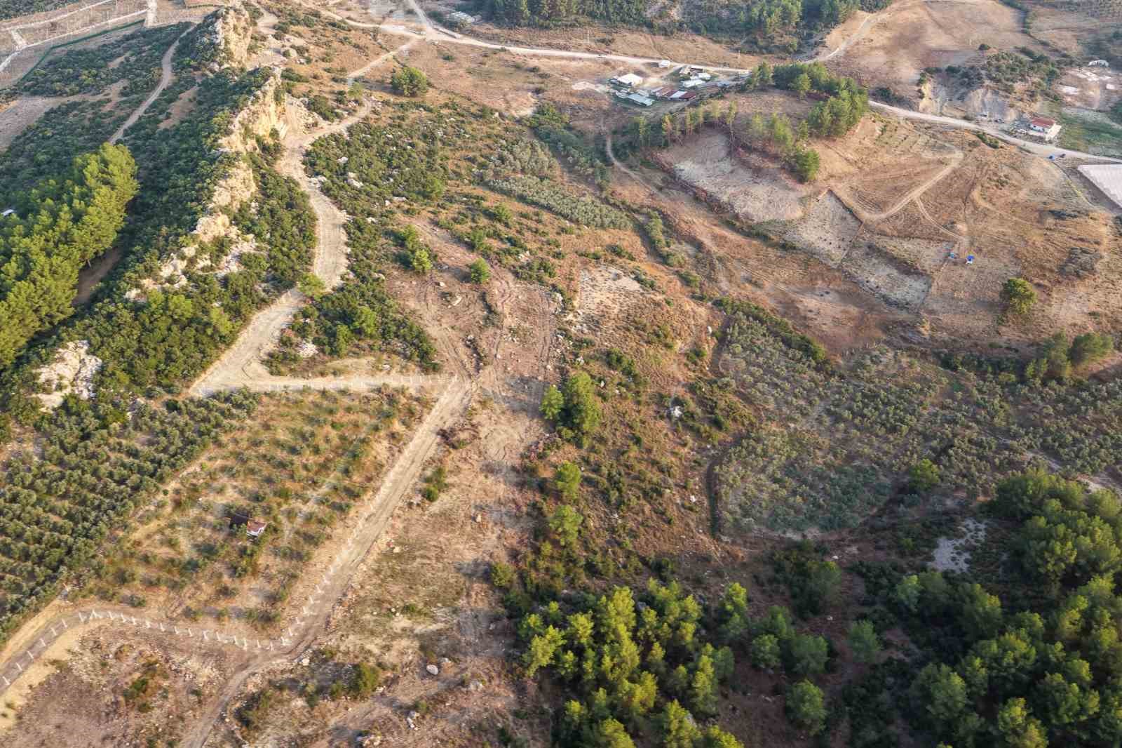 Manavgat’ta sokak hayvanlarına 75 dönümlük yaşam alanı