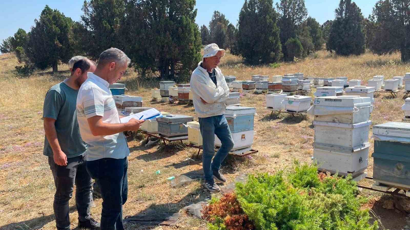 Beyşehir’de arılı kovanlar tek tek sayılıyor