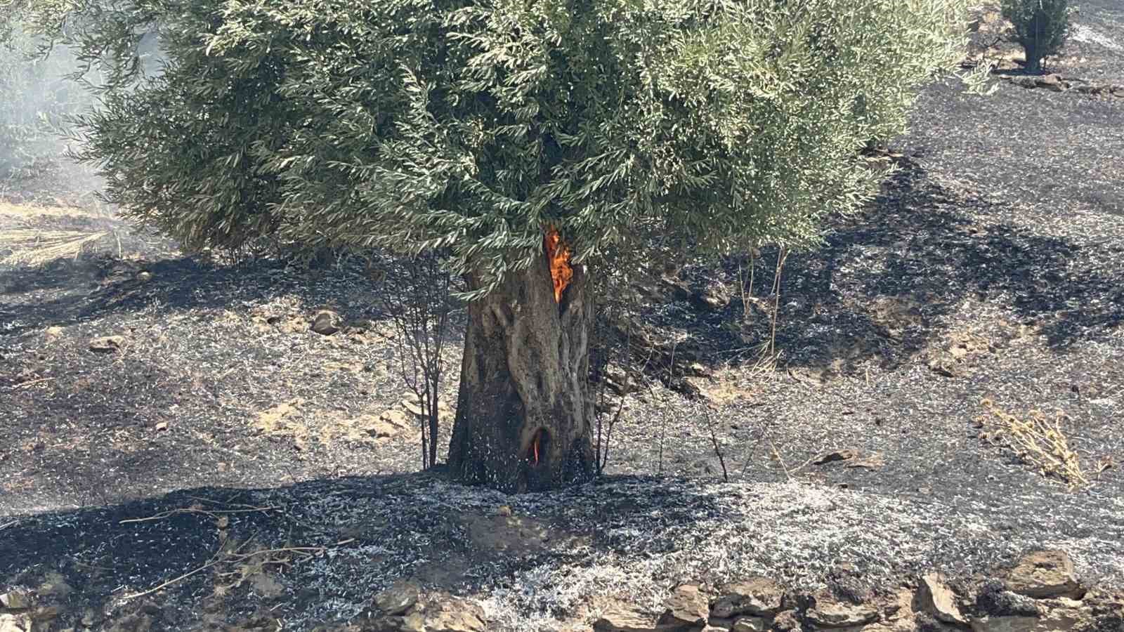 Bayındır’daki orman yangını kontrol altına alındı