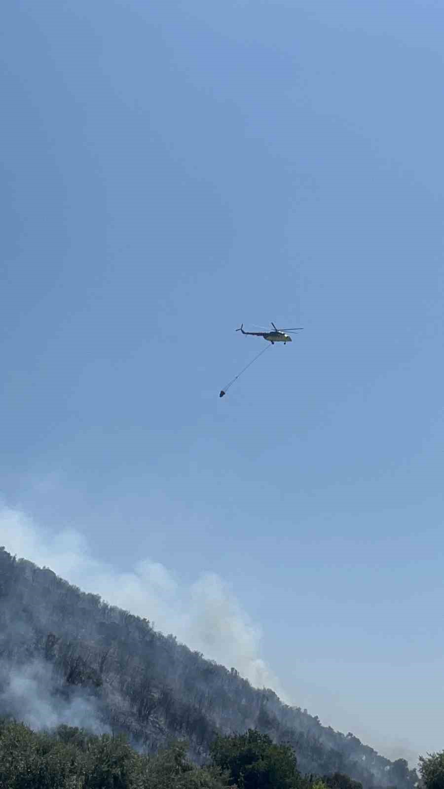 Bayındır’daki orman yangını kontrol altına alındı