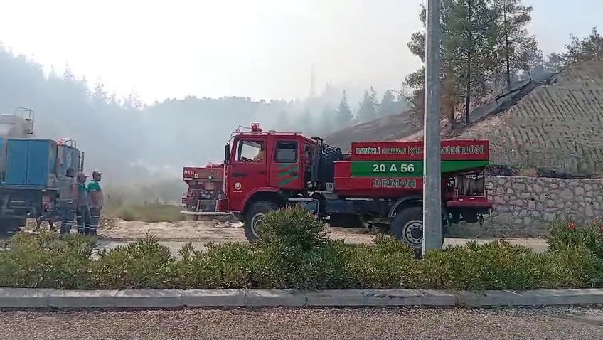 Yol kenarında başlayıp ormana sıçrayan yangın hızlı ve etkin müdahaleyle büyümeden söndürüldü