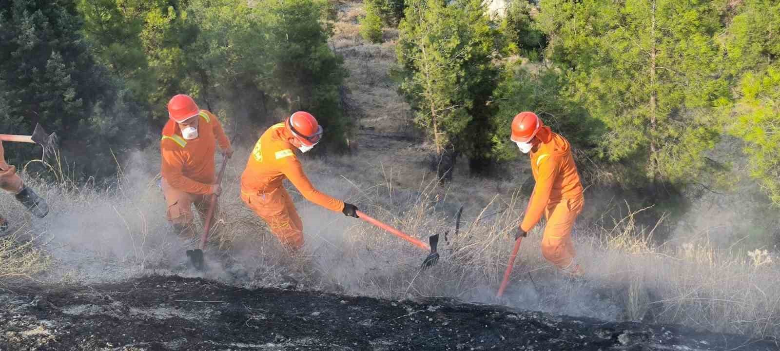 Yol kenarında başlayıp ormana sıçrayan yangın hızlı ve etkin müdahaleyle büyümeden söndürüldü