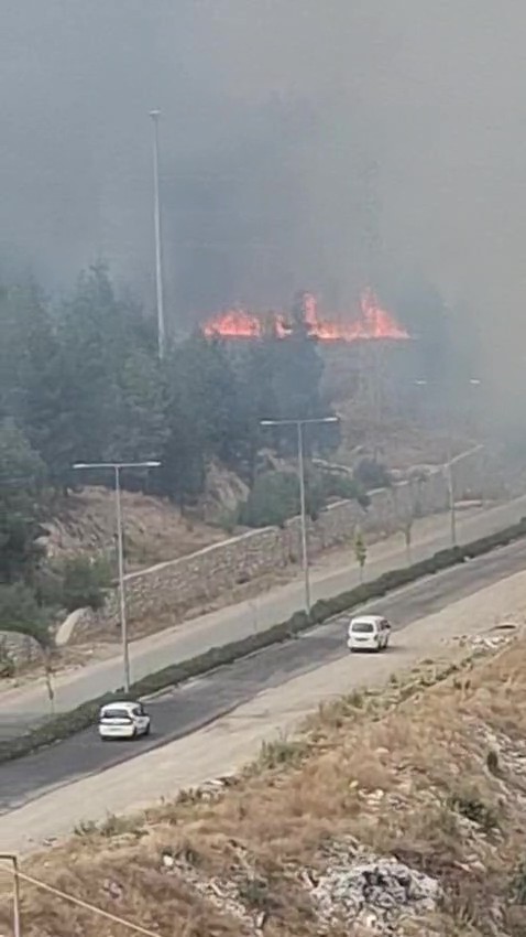 Yol kenarında başlayıp ormana sıçrayan yangın hızlı ve etkin müdahaleyle büyümeden söndürüldü