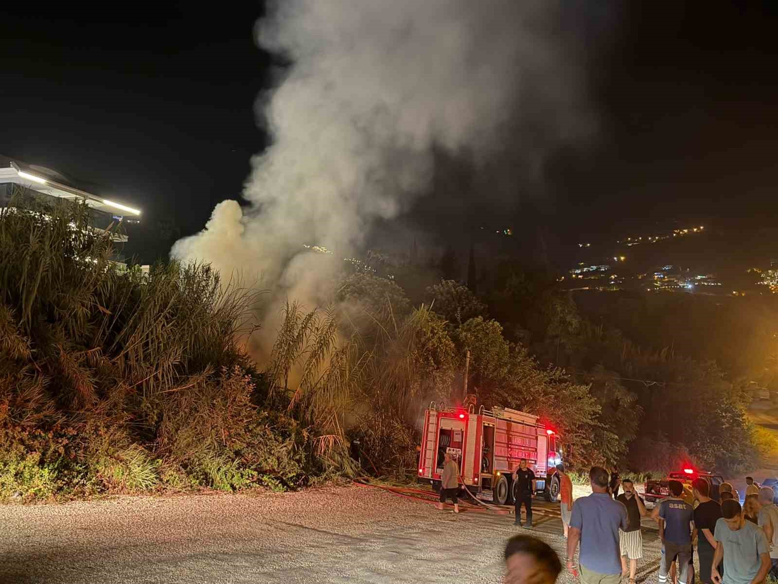 Alanya’da sazlık alanda yangın
