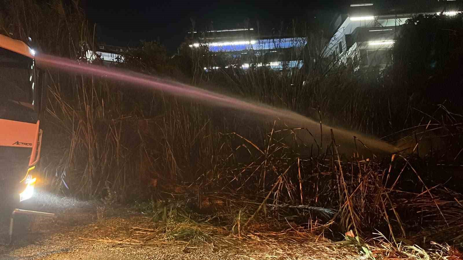 Alanya’da sazlık alanda yangın