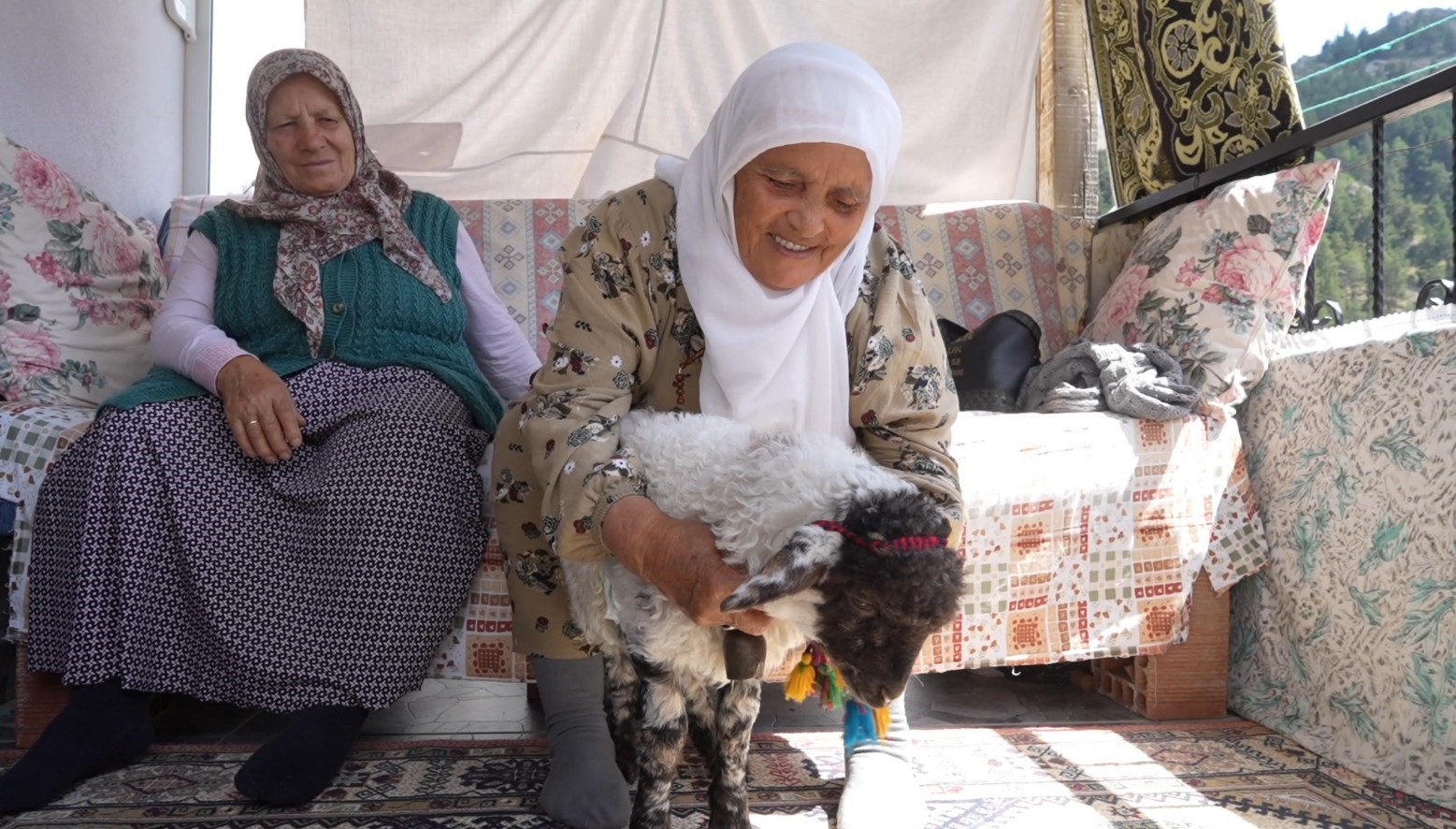Torunu gibi büyüttüğü kuzu "Boncuk" evin neşe kaynağı oldu