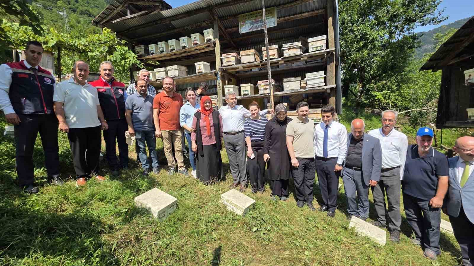 UNESCO korumasındaki Macahel’de bal hasadı başladı