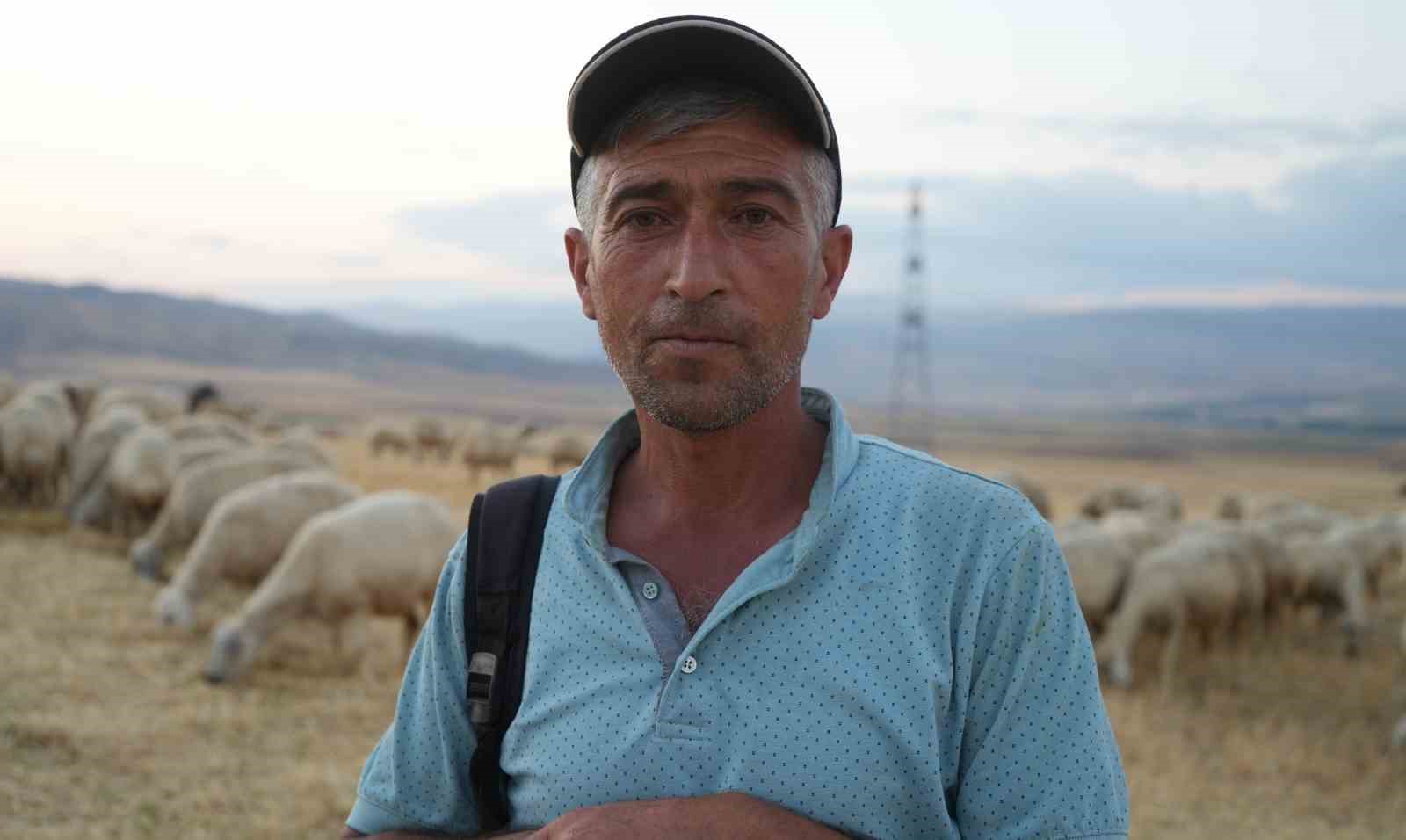 Sürünün içinden ihanet çıktı: Çobanın hırsızlarla kurduğu planı jandarma deşifre etti