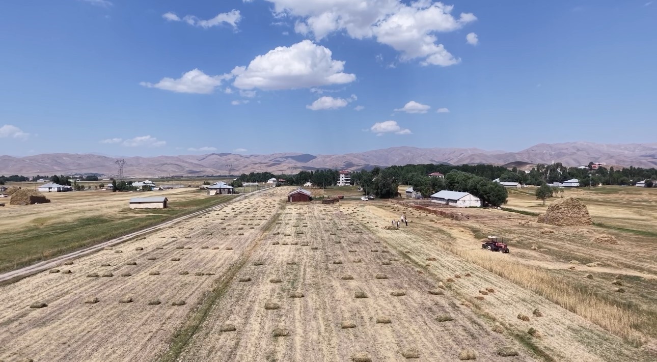 Yüksekova’da kavurucu sıcağa rağmen buğday hasadı mesaisi sürüyor