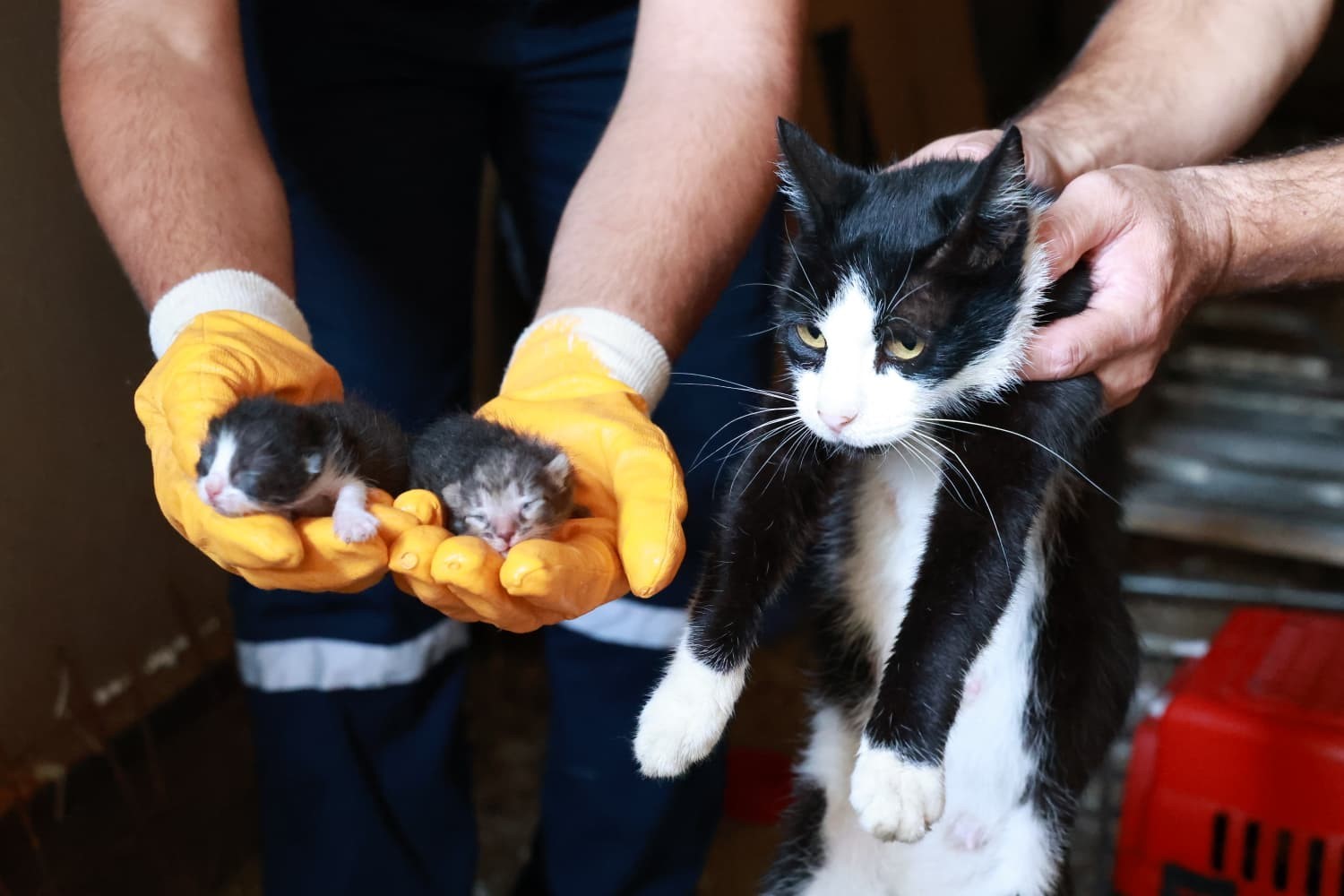 Kaçak bina yıkımında hayat kurtaran müdahale