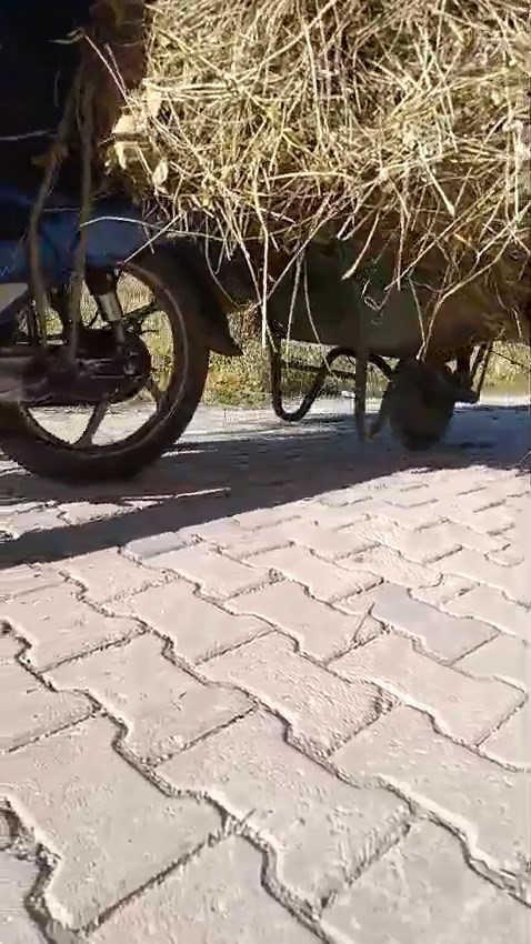 Yüksekovalı vatandaşın pratik zekası: Motosikletin arkasına el arabası bağlayarak üzerinde ot taşıdı