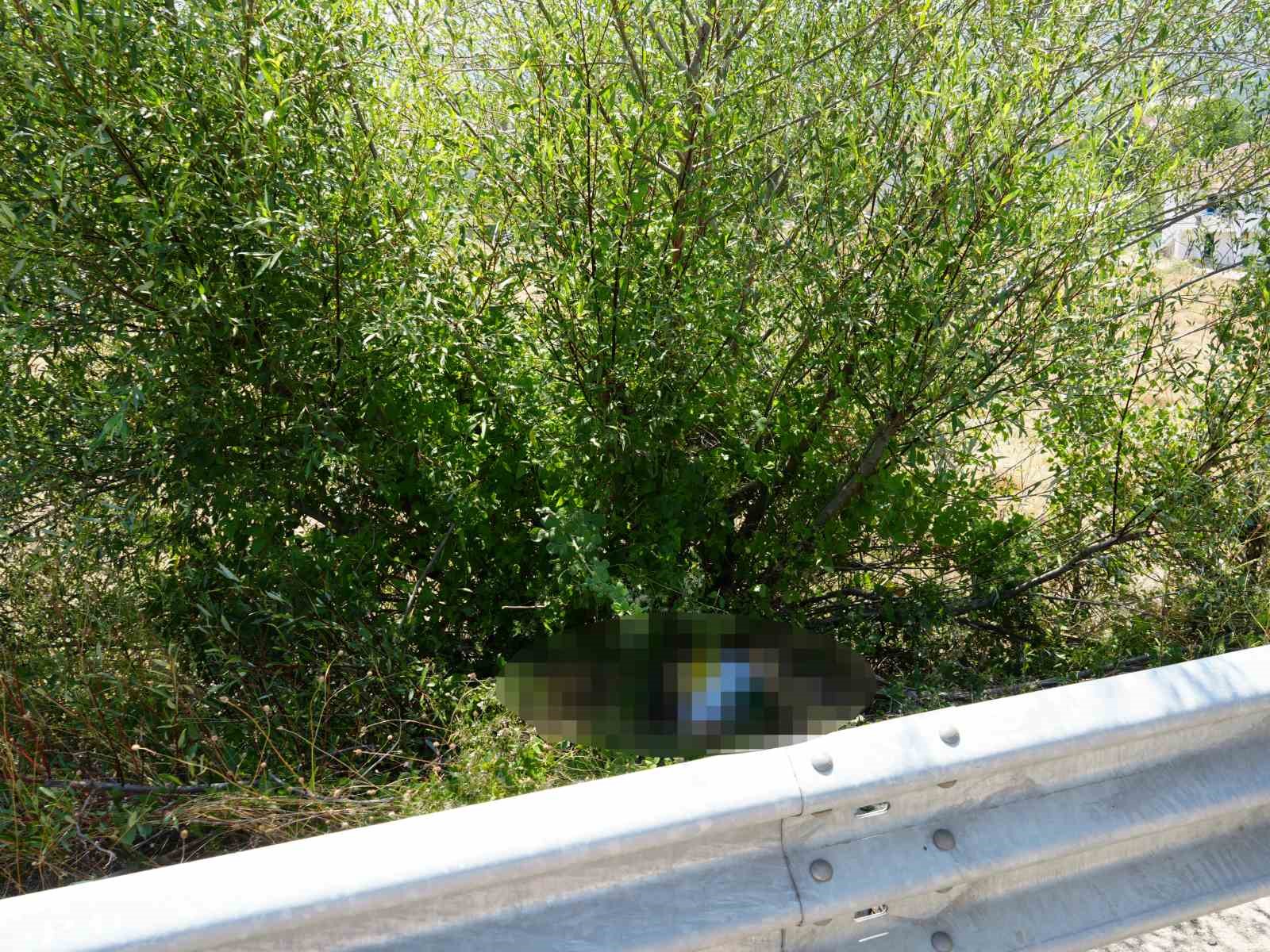Otomobilin çarptığı bisikletli ağacın altında ölü bulundu, kaçan sürücü kısa sürede yakalandı