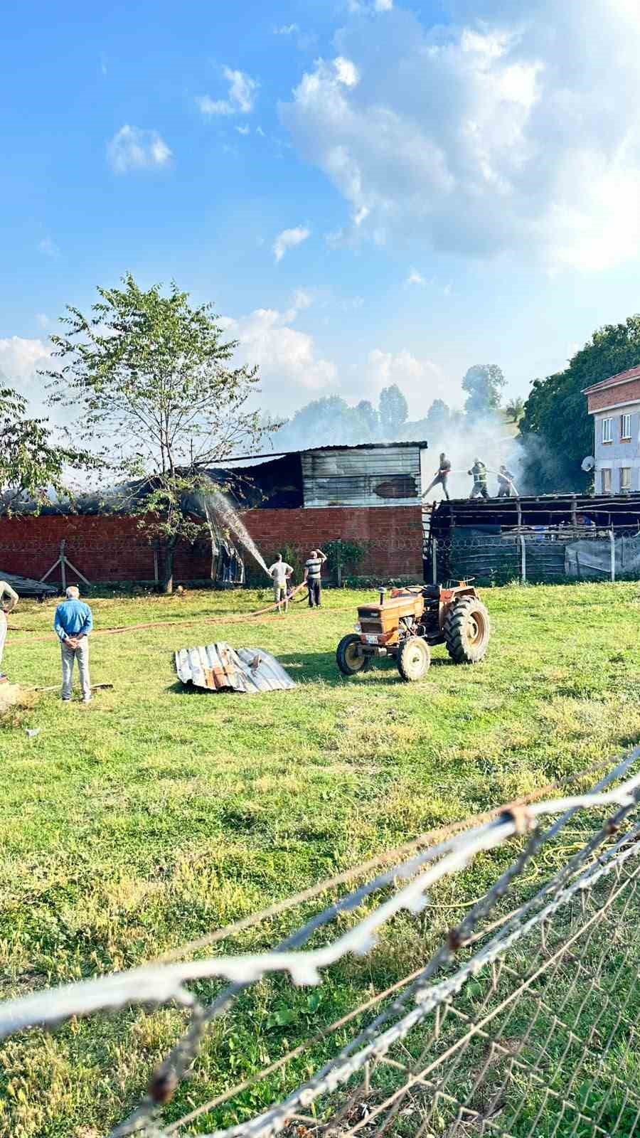 Bursa’da samanlık alevlere teslim oldu