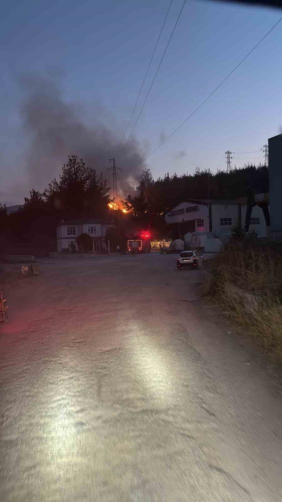 Bilecik’te kuşun elektrik teline çarpması sonucu çıkan yangın kontrol altına alındı