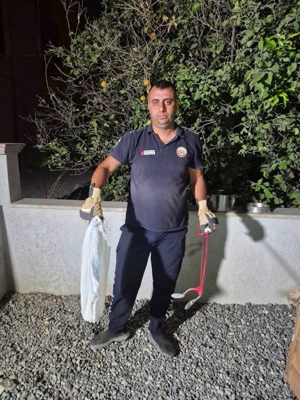 Hatay’da eve giren yılanları itfaiye yakaladı