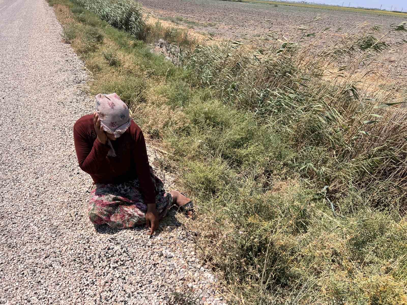 Süt satarak geçimini sağlayan kadının 2 buzağısı hastalanıp, ineği de su kanalına düşerek telef oldu