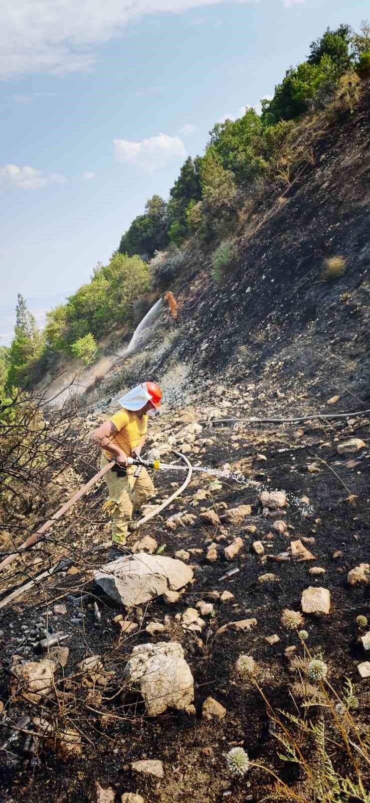 Kahramanmaraş’ta çıkan orman yangını kontrol altına alındı