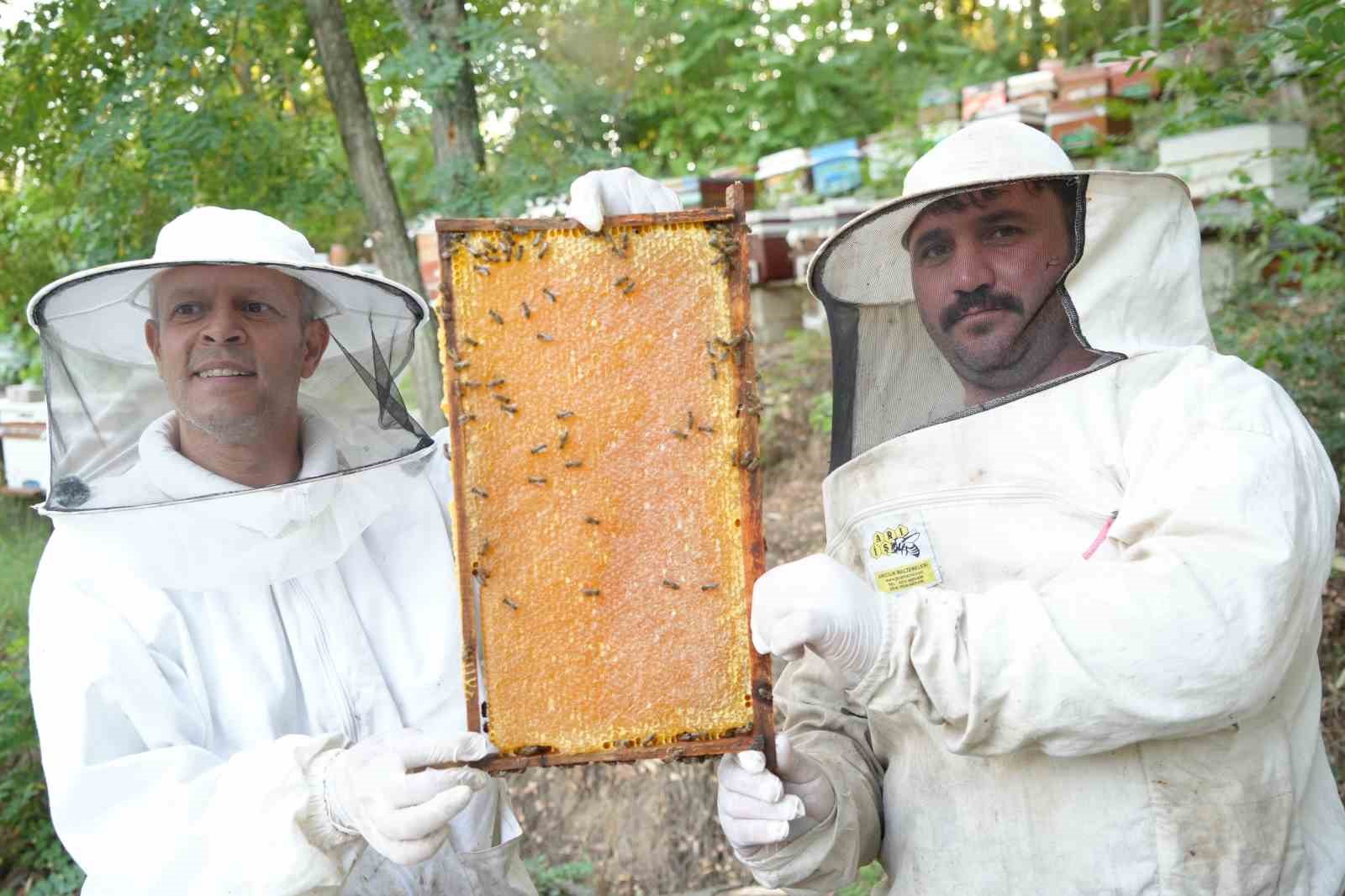 Yağışlar arıcıların yüzünü güldürdü: Bal üretiminde bereketli sezon