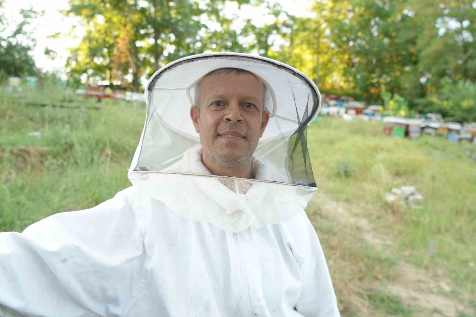 Yağışlar arıcıların yüzünü güldürdü: Bal üretiminde bereketli sezon