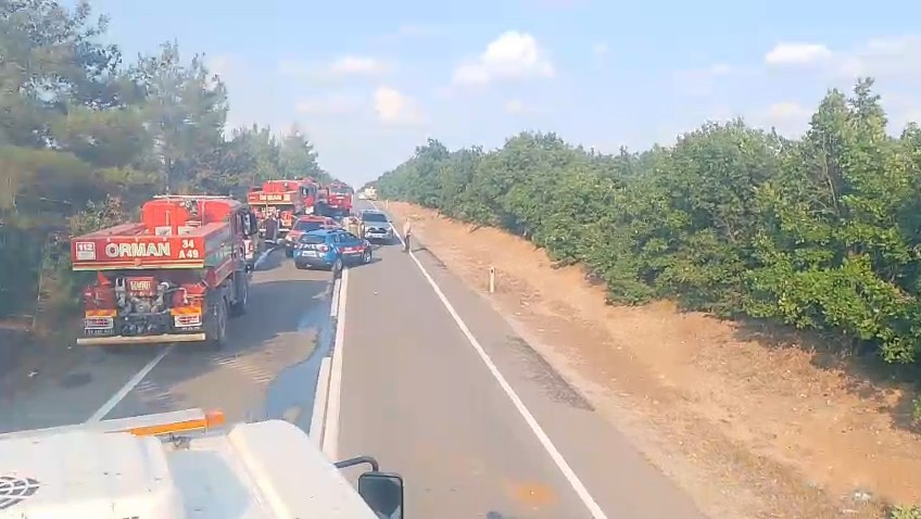 Edirne’de anız yangını ormana sıçradı: 4 helikopter ve 10 arazöz seferber oldu