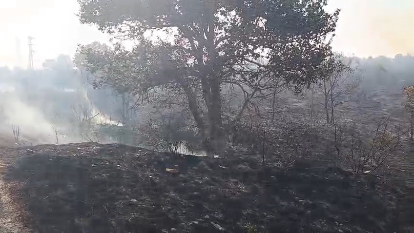 Edirne’de anız yangını ormana sıçradı: 4 helikopter ve 10 arazöz seferber oldu