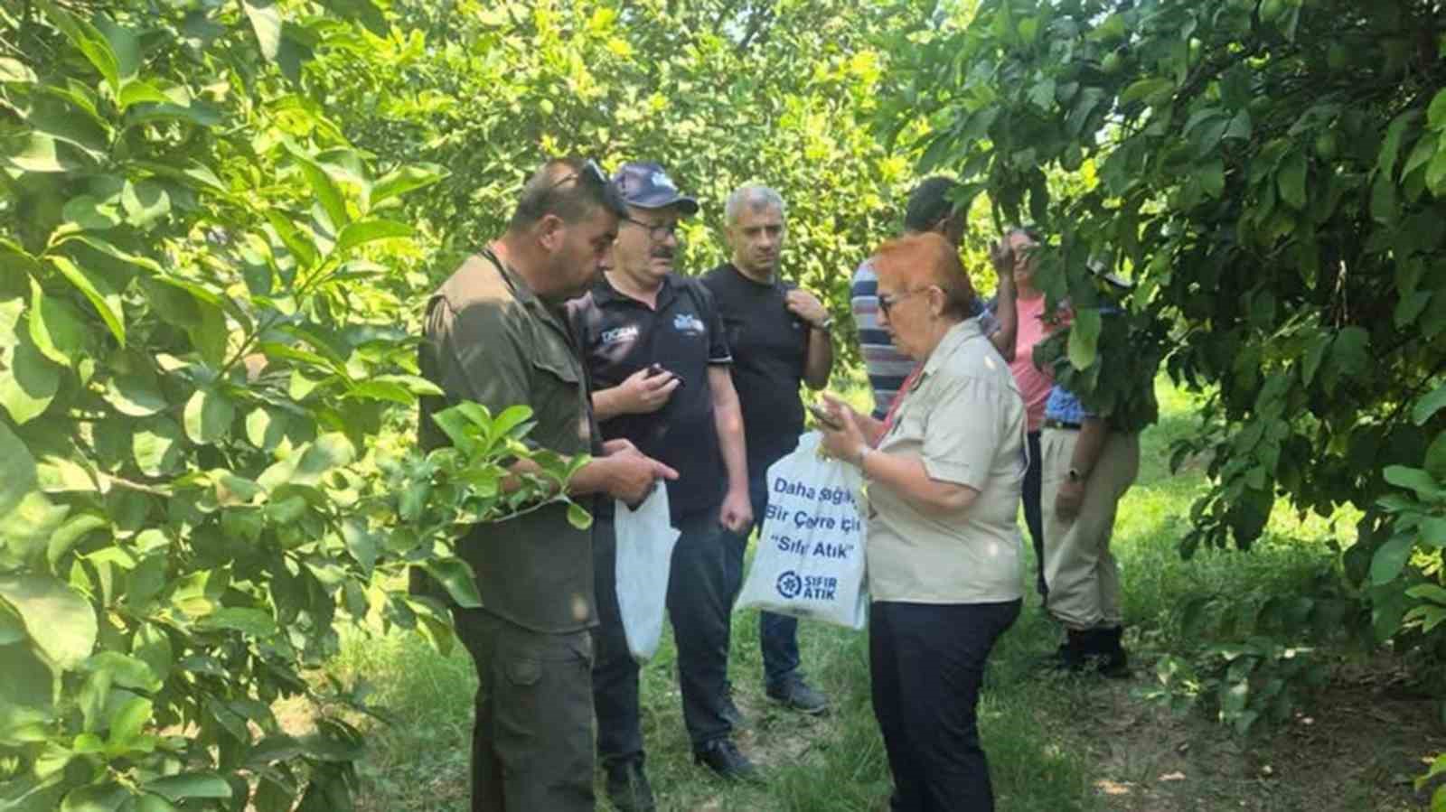 Turunçgil üretim alanlarında sürdürülebilir biyolojik mücadele çalışmaları