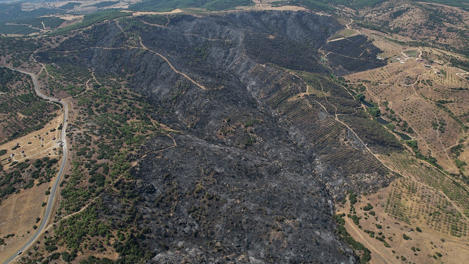 Yangının bilançosu gün ağarınca ortaya çıktı