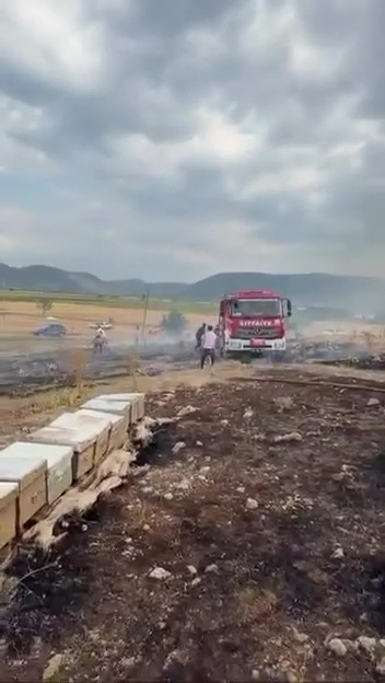 Denizli’de yangında arılar telef oldu