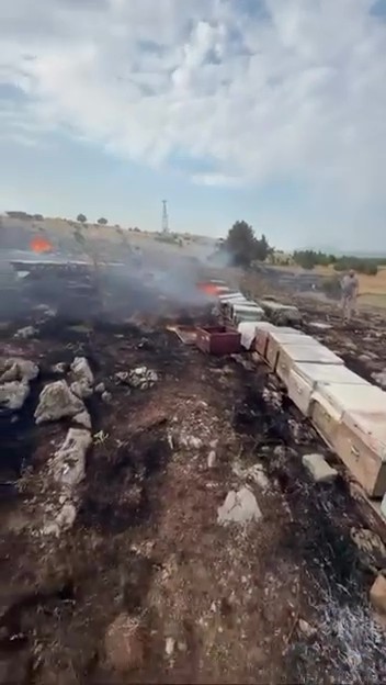 Denizli’de yangında arılar telef oldu