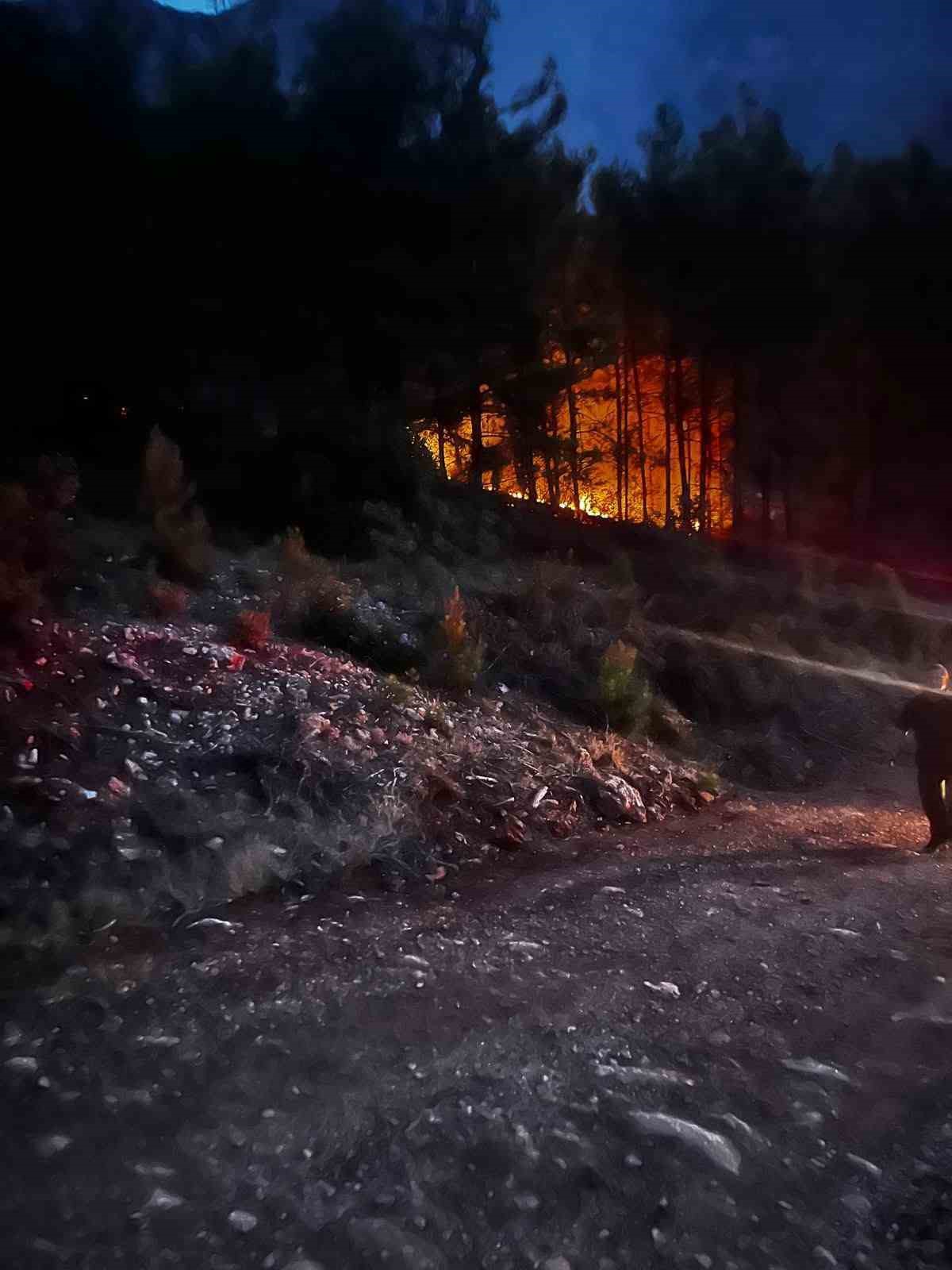 Alanya’da ormanlık alanda çıkan yangın kontrol altına alındı